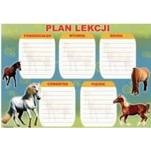 Plan lekcji + tabliczka mnożenia A4 mix 25szt.