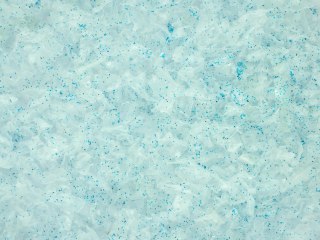 Płatki śniegu błękitne op. 80 g | OS-40-BL