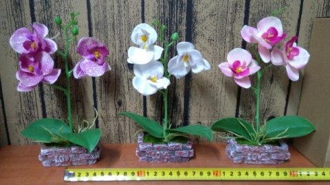 Storczyk w doniczce 24cm LOVE | 1310A Storczyk w doniczce 24cm LOVE | 1310A